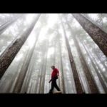 I Am a Seed – David Crowder Band