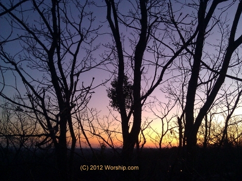 There is Nothing Like an Estate Sale to Make You Think